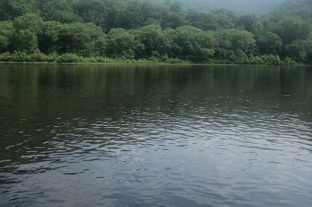 Photo of Outdoor in Renovo