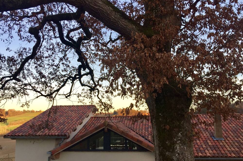 Photo of Outdoor in Lagraulet-Saint-Nicolas