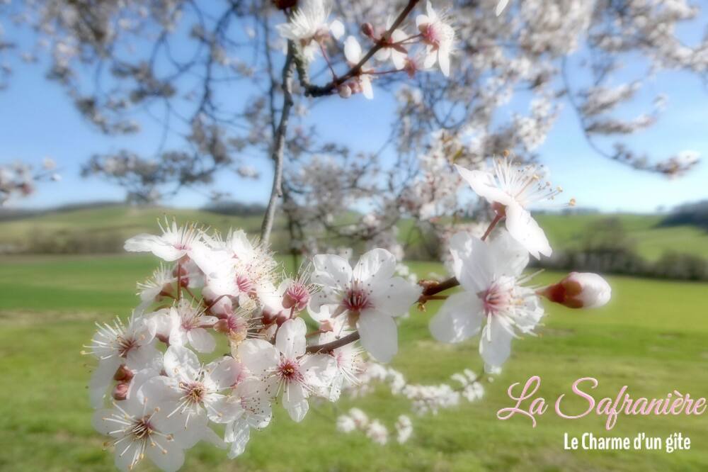 Photo of Outdoor in Lagraulet-Saint-Nicolas