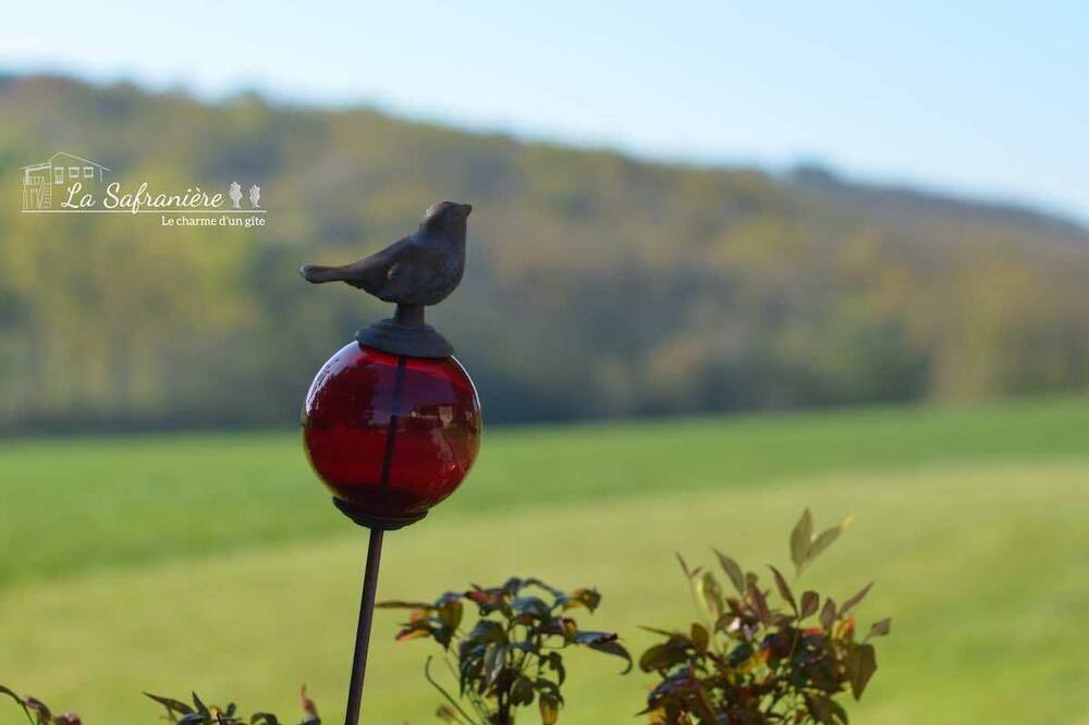 Photo of Outdoor in Lagraulet-Saint-Nicolas