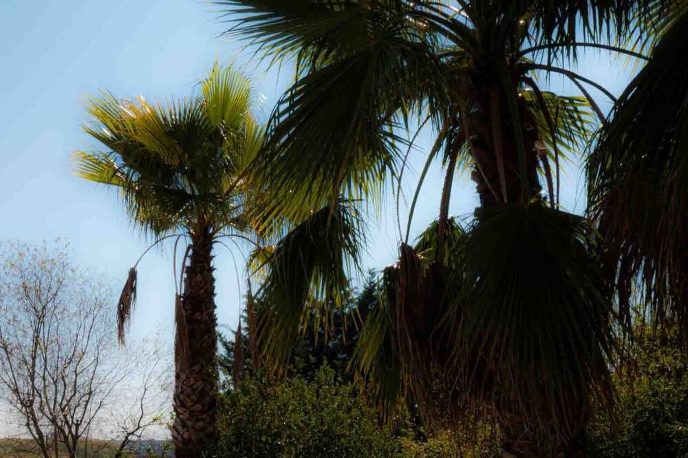 Photo of Outdoor in Juvignac