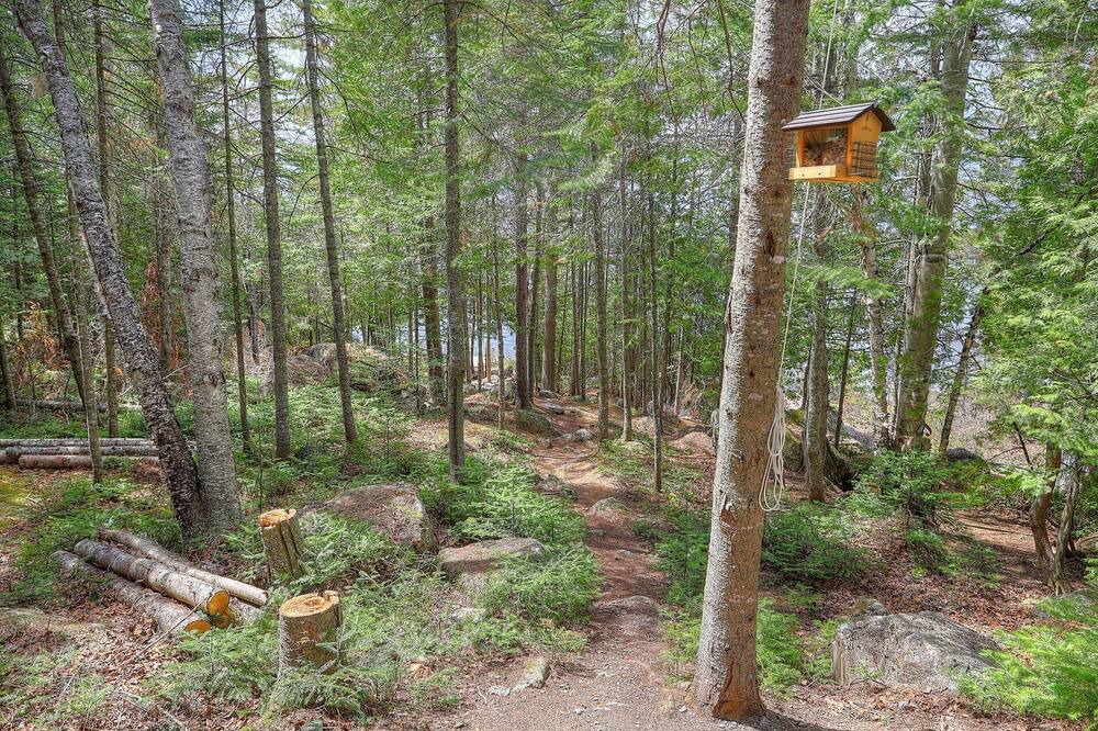 Photo of Outdoor in Rangeley