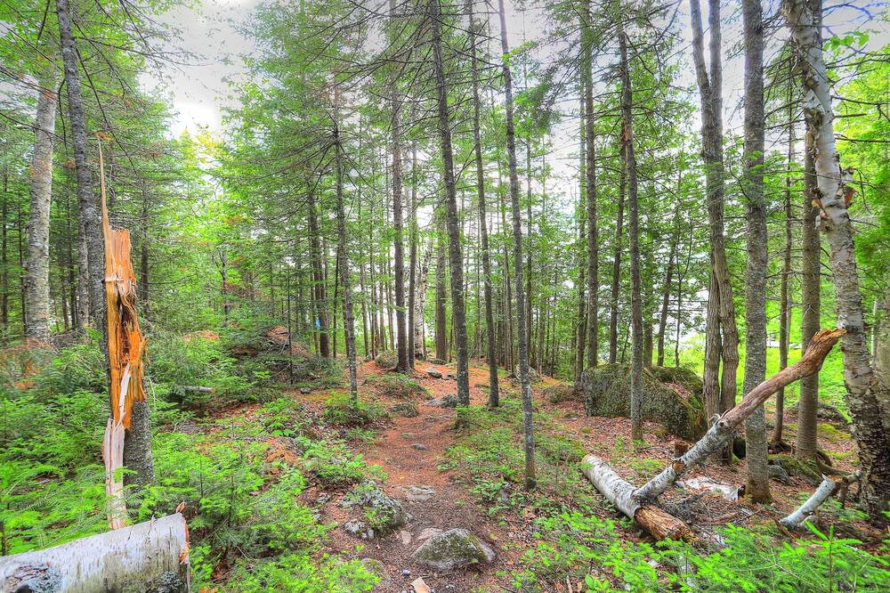 Photo of Others in Rangeley