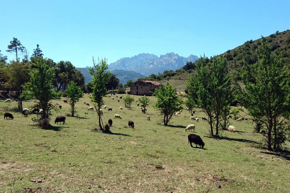 Photo of Outdoor in San-Lorenzo