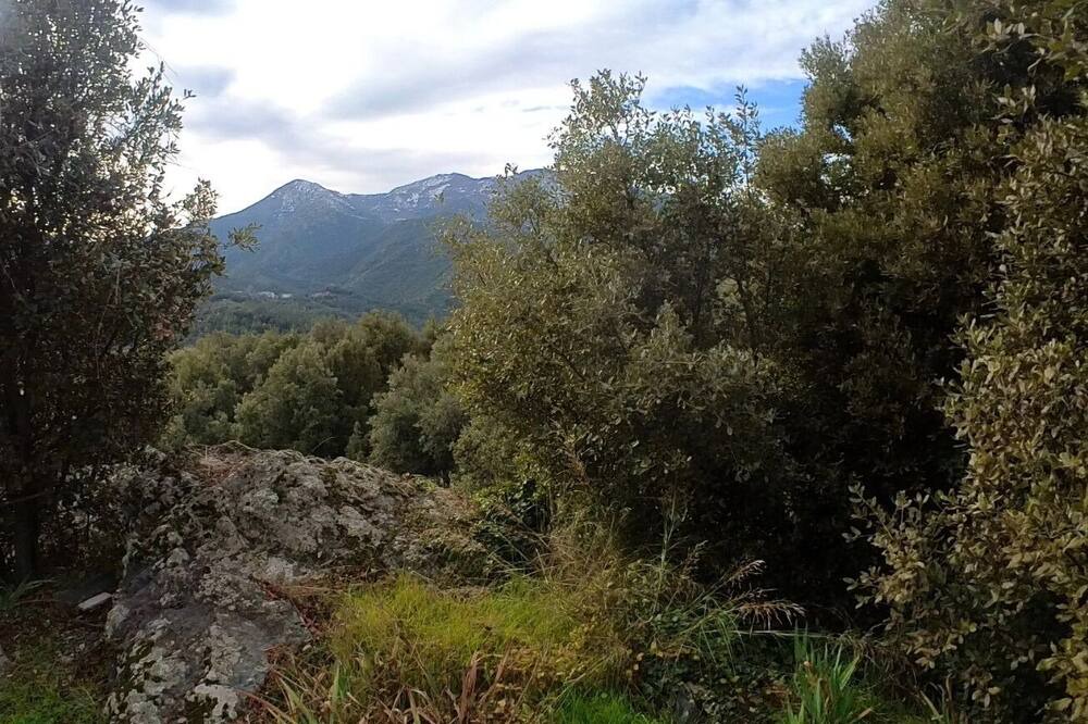 Photo of Outdoor in San-Lorenzo