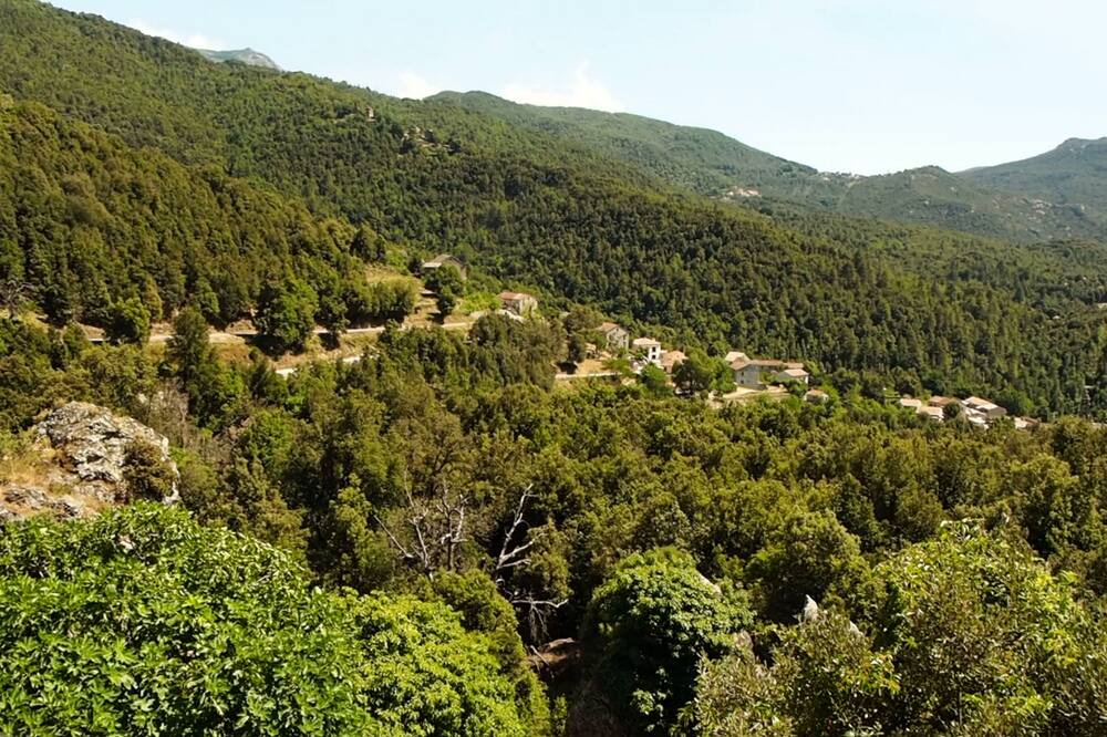 Photo of Outdoor in San-Lorenzo