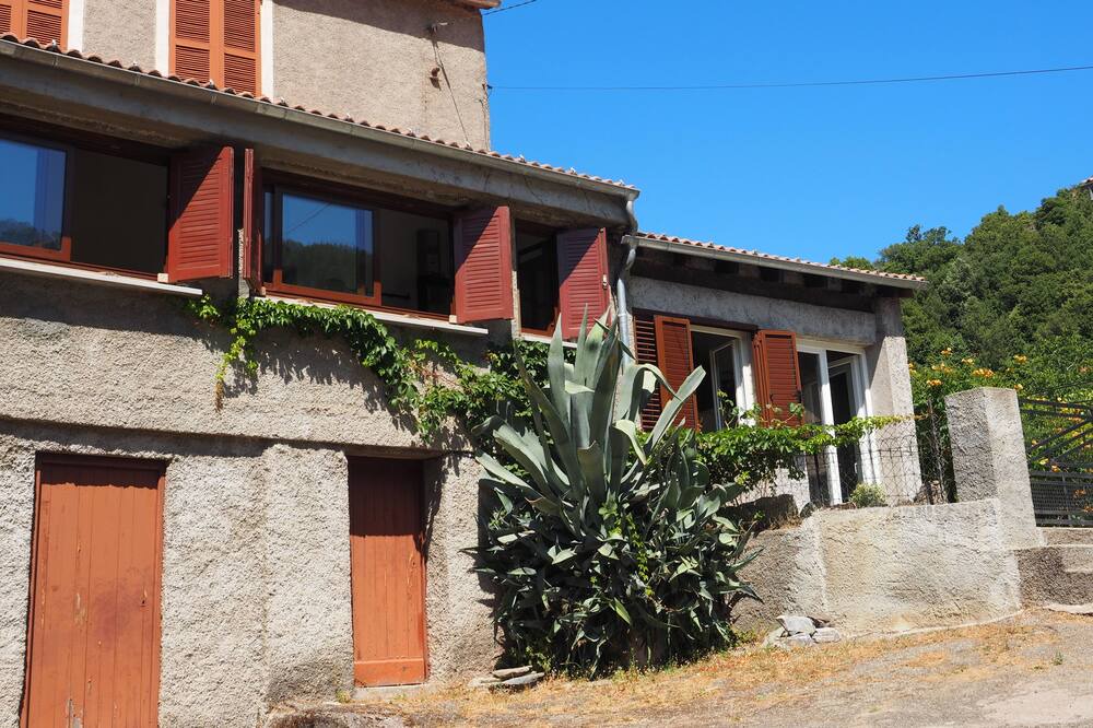 Photo of Outdoor in San-Lorenzo