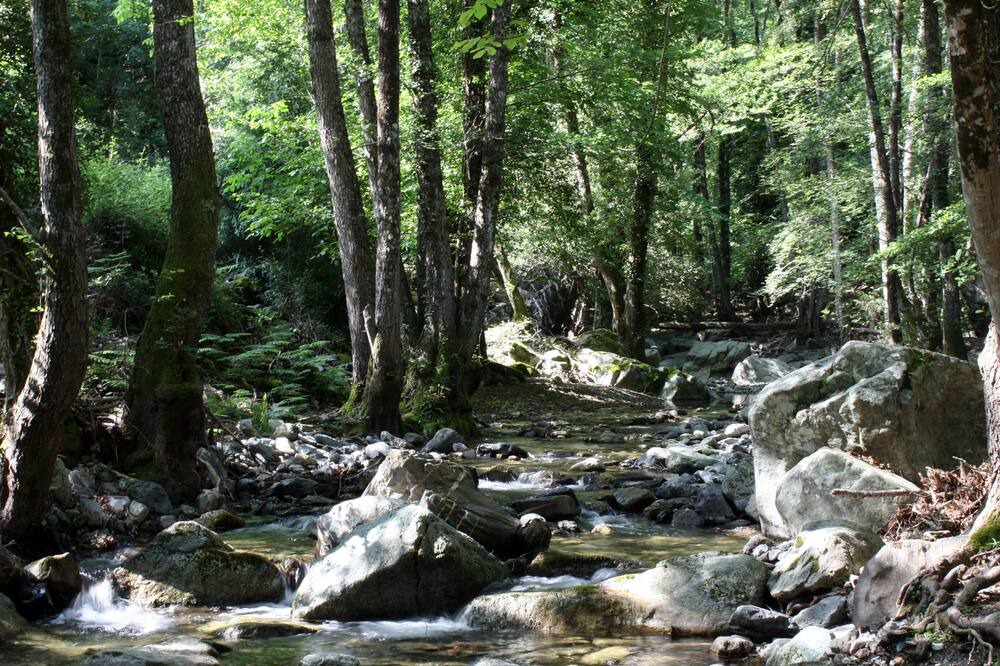 Photo of Outdoor in San-Lorenzo