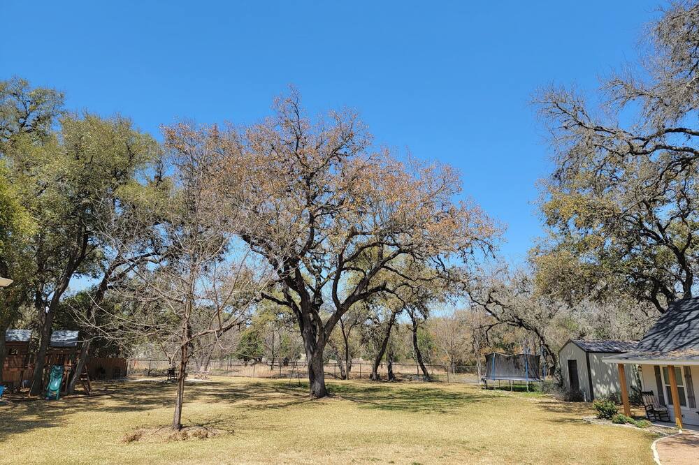 Photo of Outdoor in Hondo