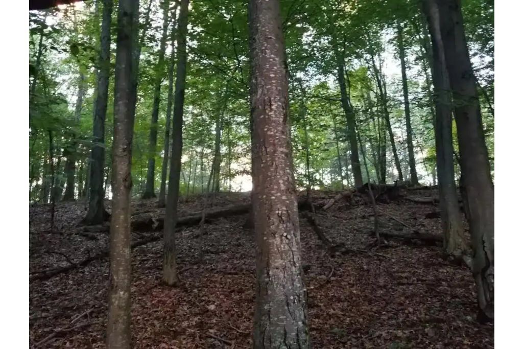 Photo of Outdoor in Pine Bush