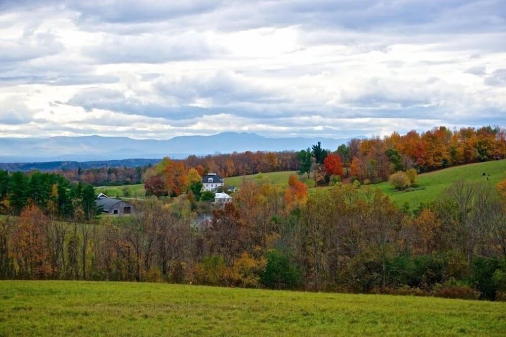 Photo of Others in Chatham