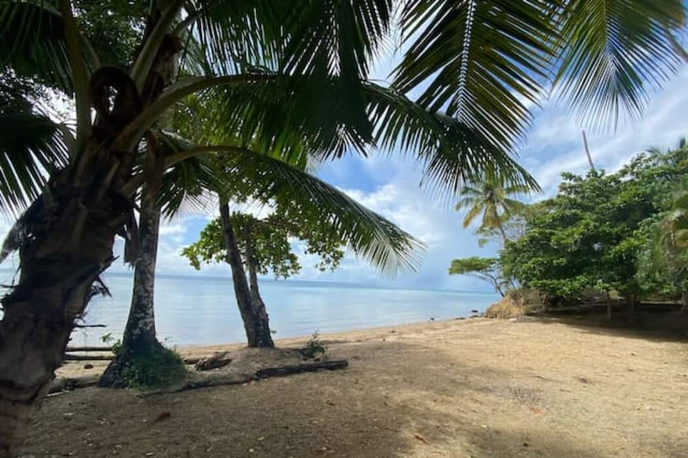 Photo of Others in Sanchez