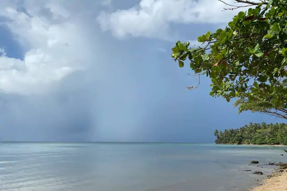 Photo of Others in Sanchez