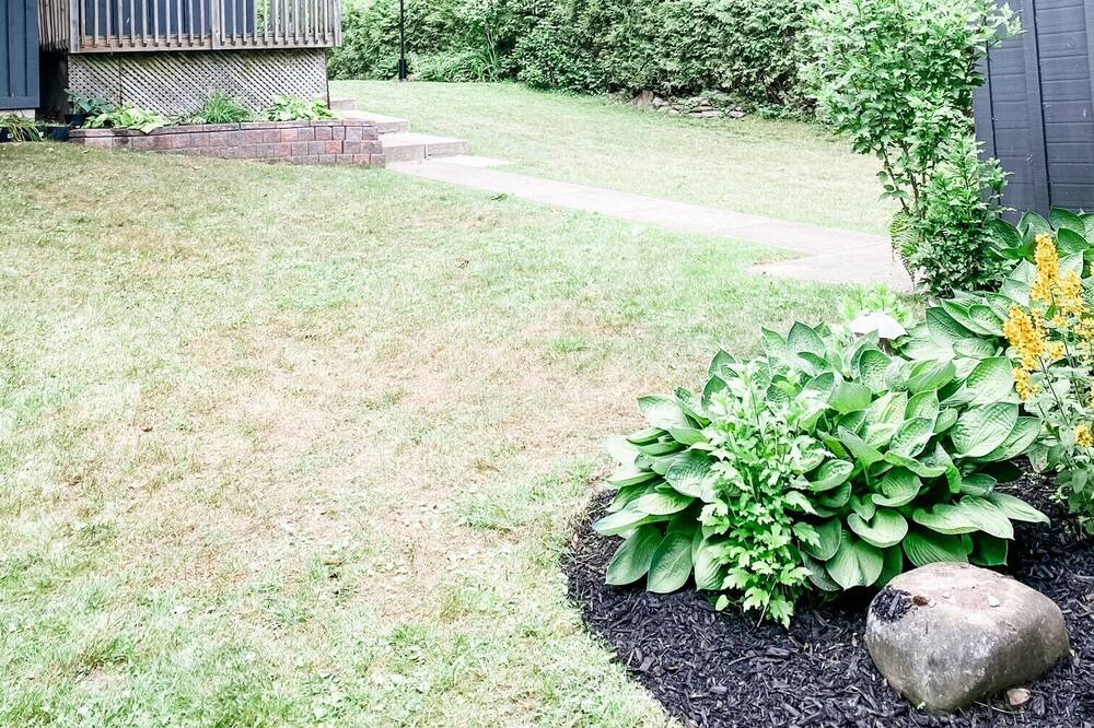 Photo of Outdoor in Orillia