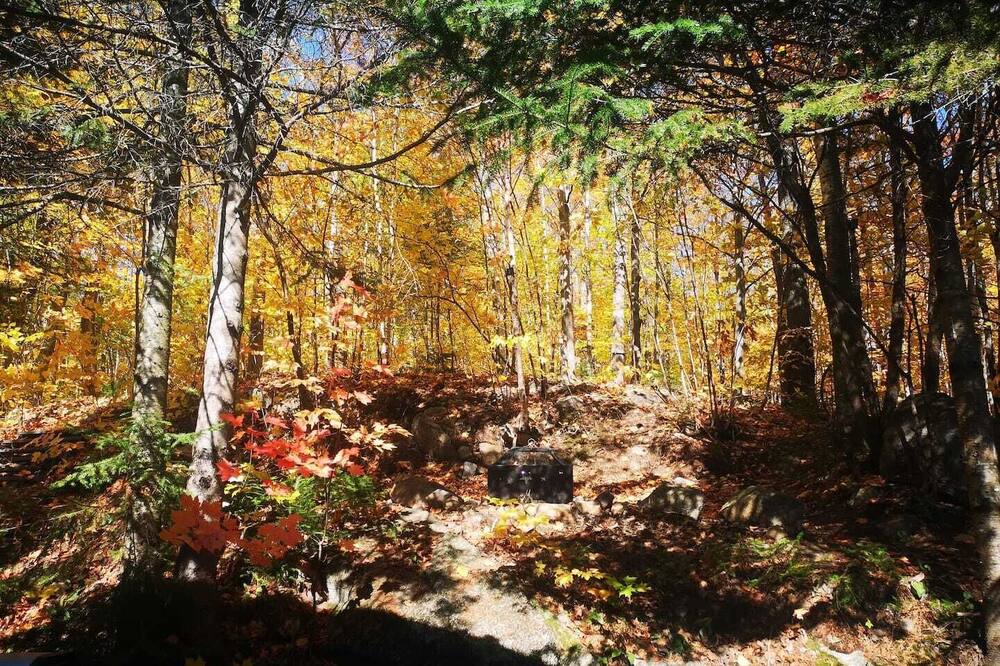 Photo of Outdoor in Saint-Calixte