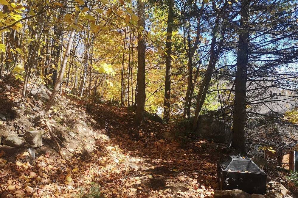 Photo of Outdoor in Saint-Calixte