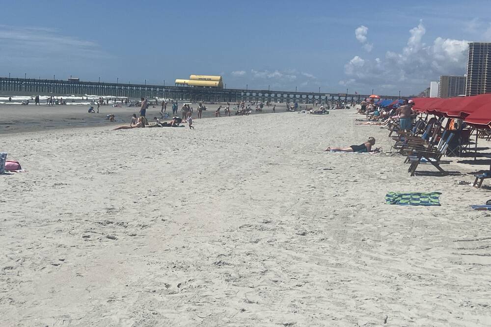 Photo of Others in Arcadian Shores