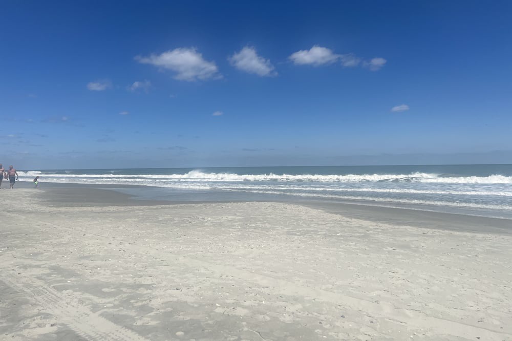 Photo of Others in Arcadian Shores