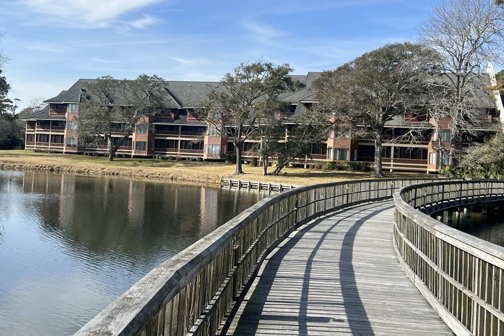 Photo of Others in Arcadian Shores