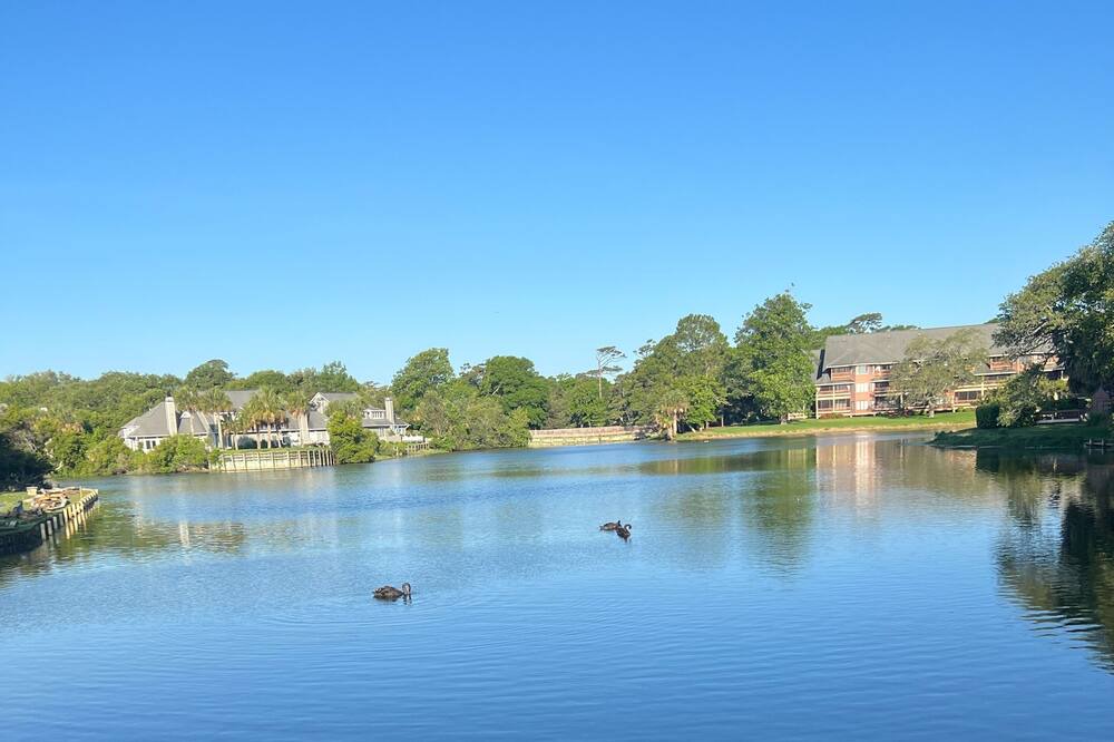 Photo of Outdoor in Arcadian Shores