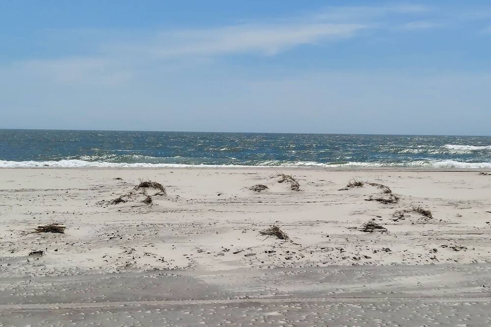 Photo of Others in Southend