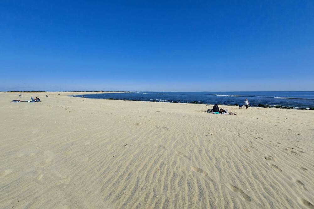 Photo of Others in Southend