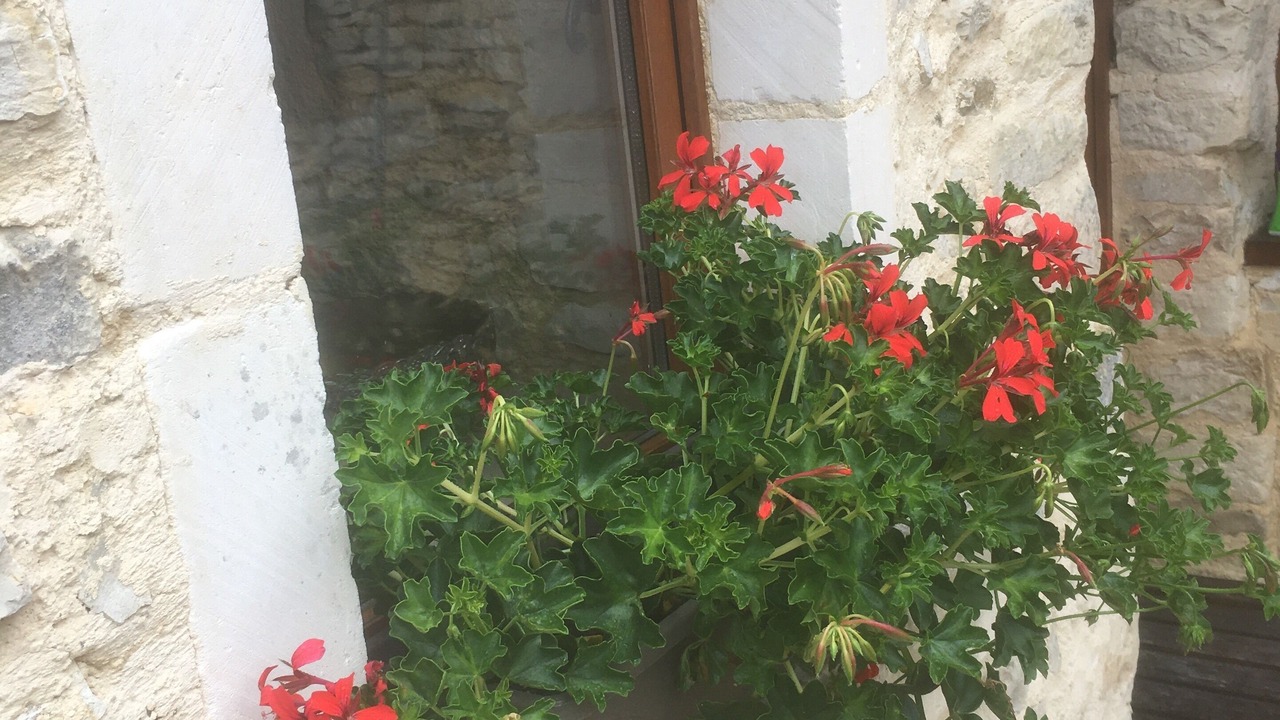 Photo of Outdoor in Martaize