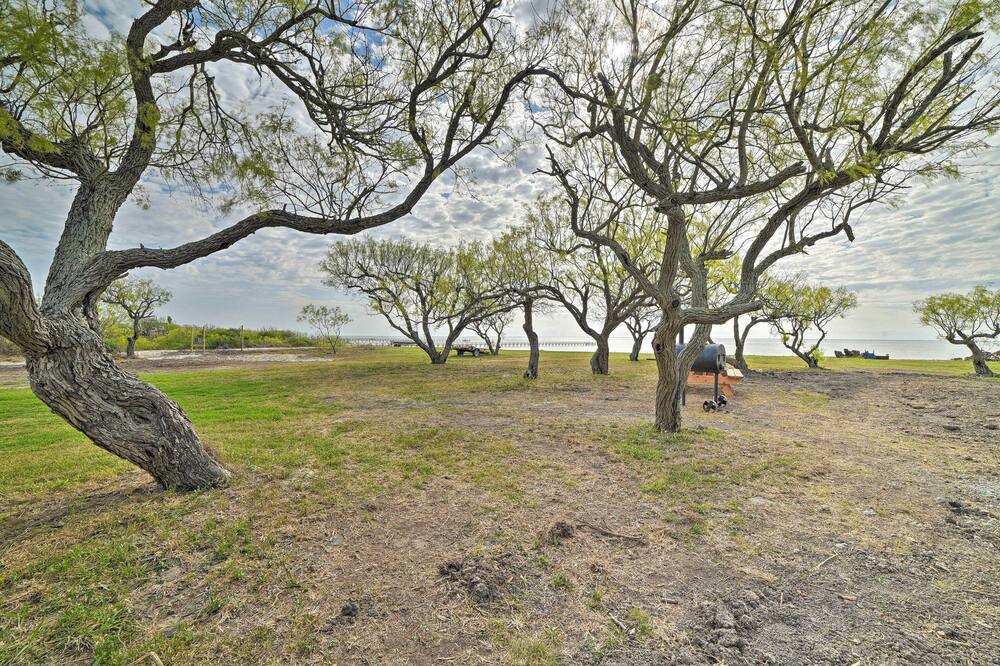Photo of Others in Bayside