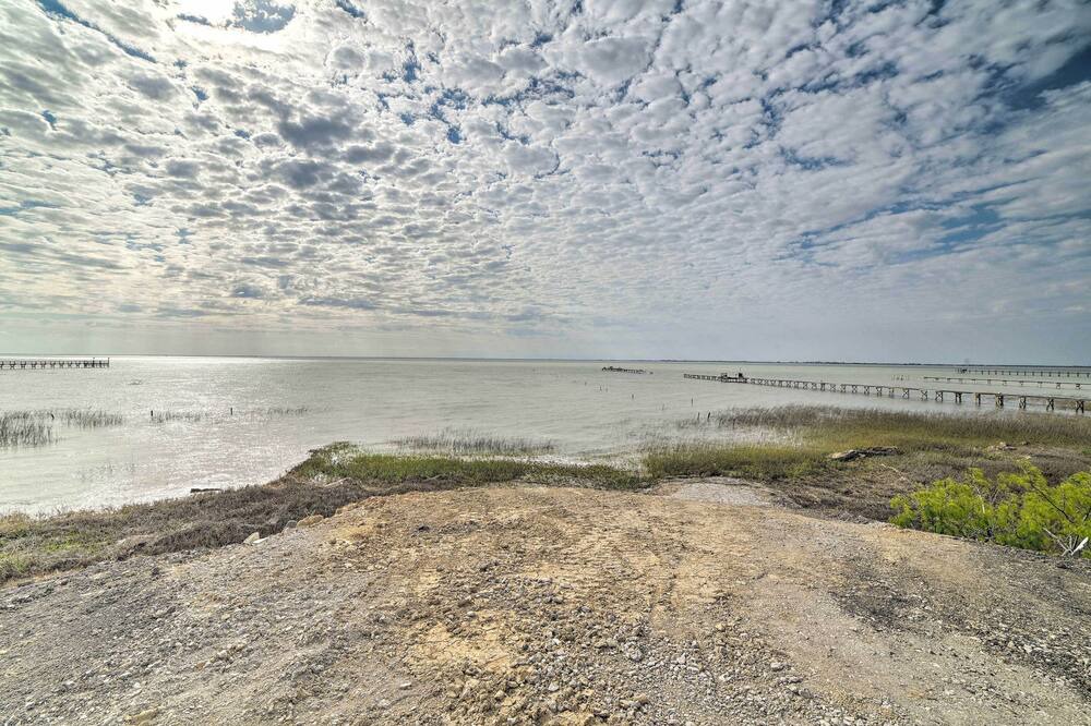 Photo of Others in Bayside