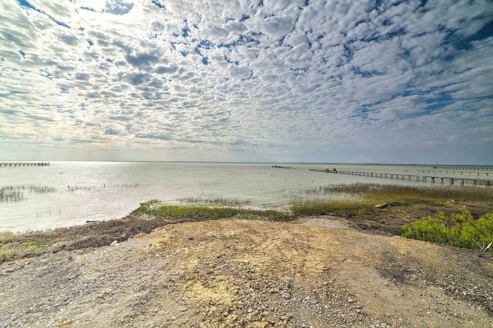 Photo of Others in Bayside