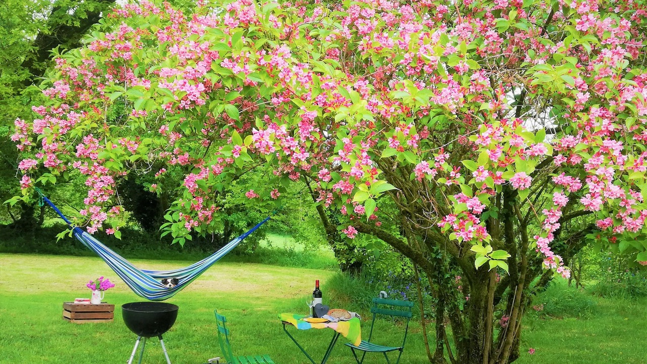 Photo of Outdoor in Brennilis