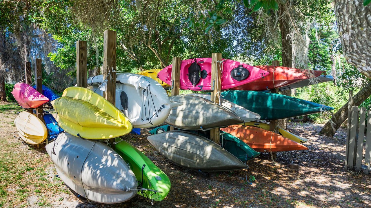 Photo of Outdoor in Osprey