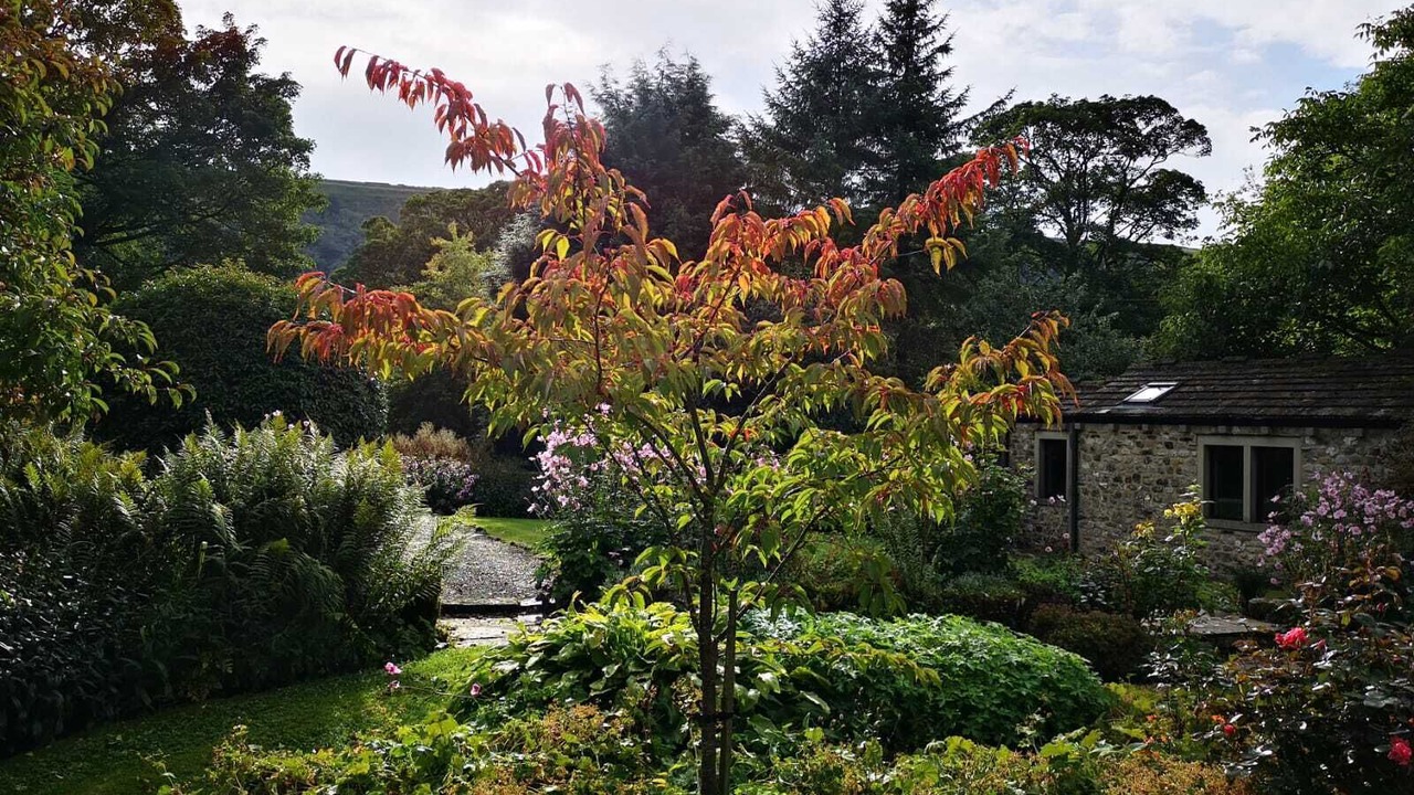 Photo of Outdoor in Starbotton