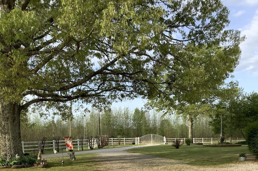 Photo of Outdoor in Holly Springs