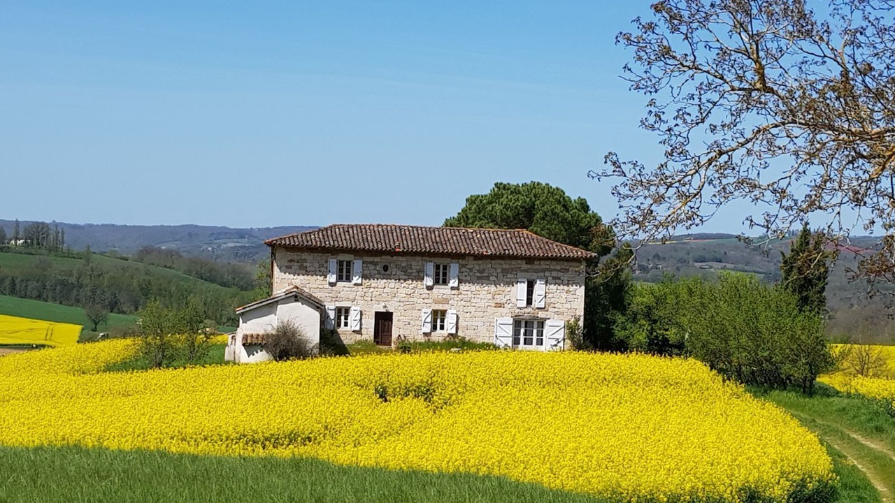Photo of Outdoor in Castelnau-de-Montmiral