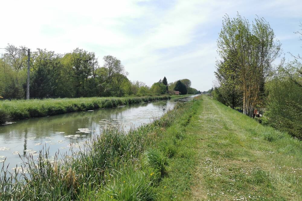 Photo of Outdoor in Chatres-sur-Cher