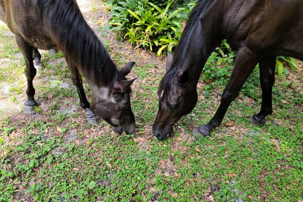 Photo of Others in Keystone