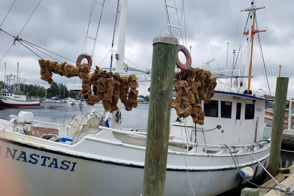 Photo of Others in Keystone