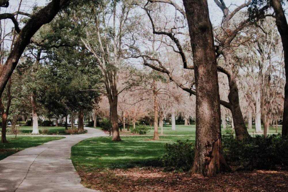 Photo of Outdoor in Danville