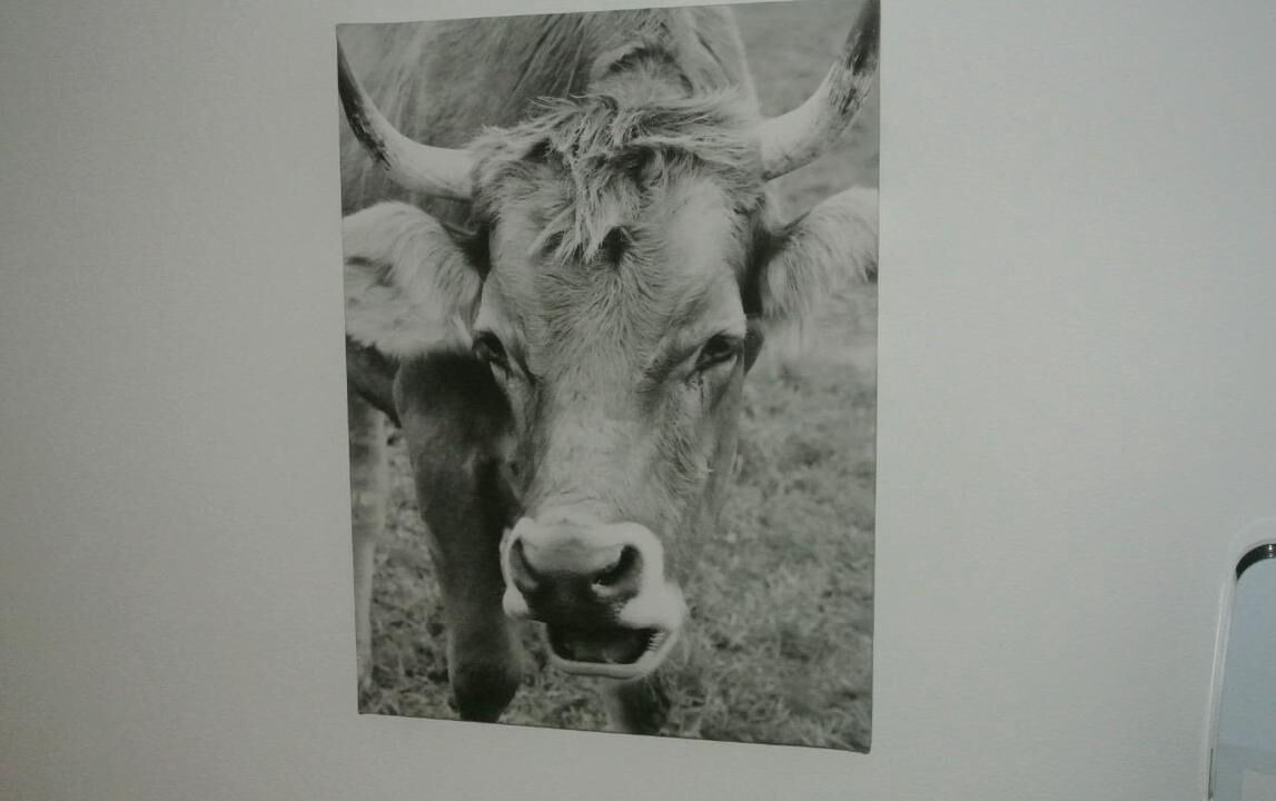 Photo of Others in Axalp