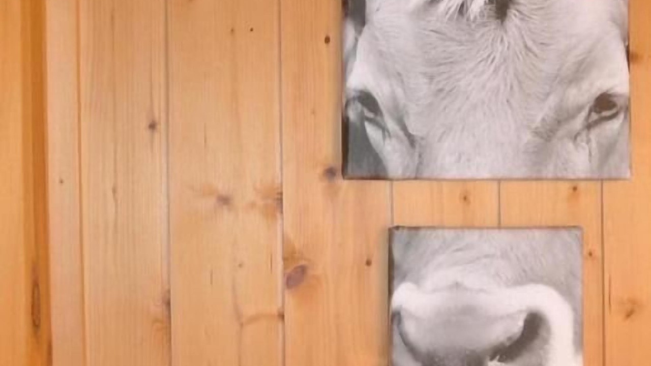 Photo of Bedroom in Axalp