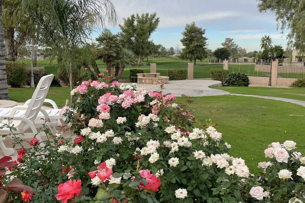 Photo of Outdoor in Ocotillo