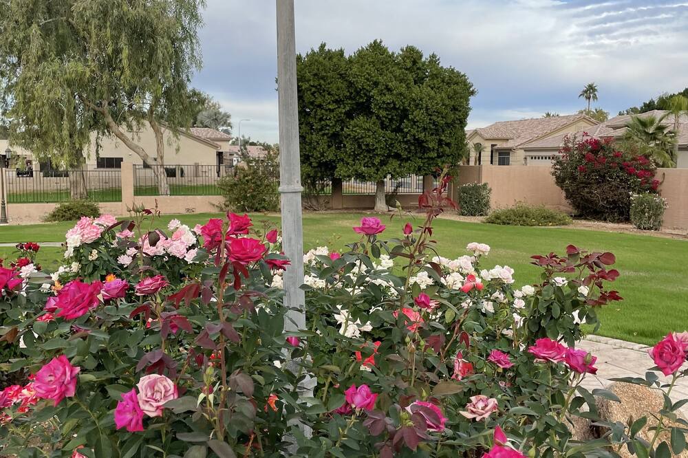 Photo of Outdoor in Ocotillo