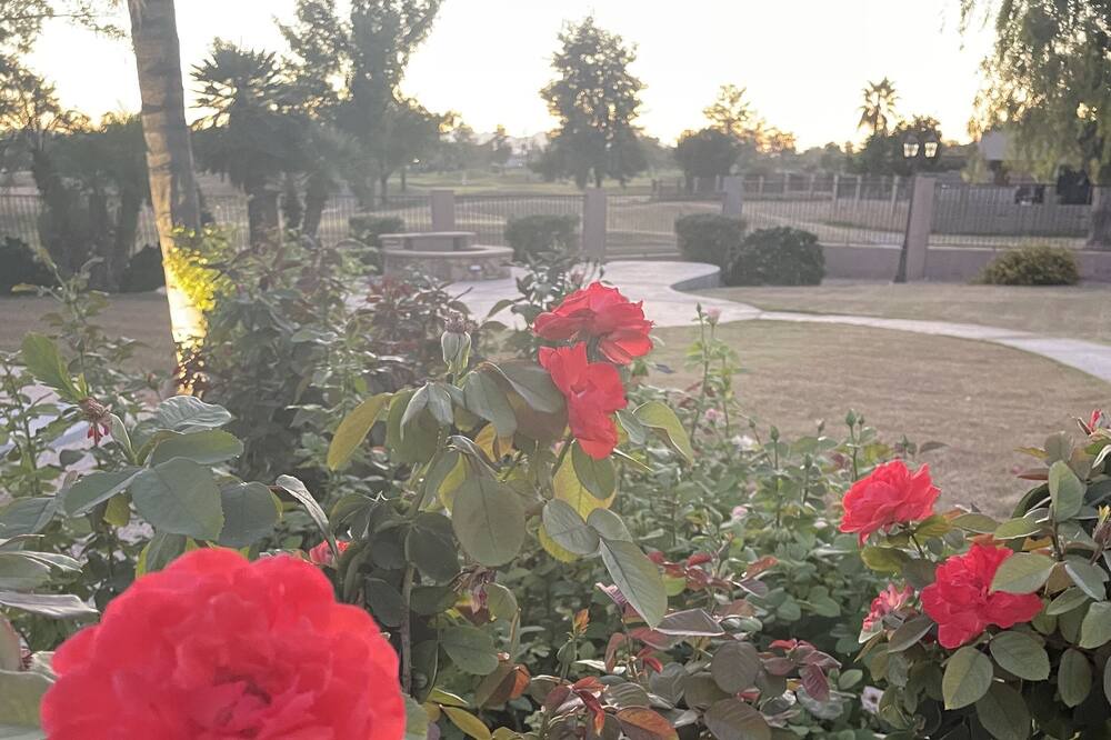 Photo of Outdoor in Ocotillo