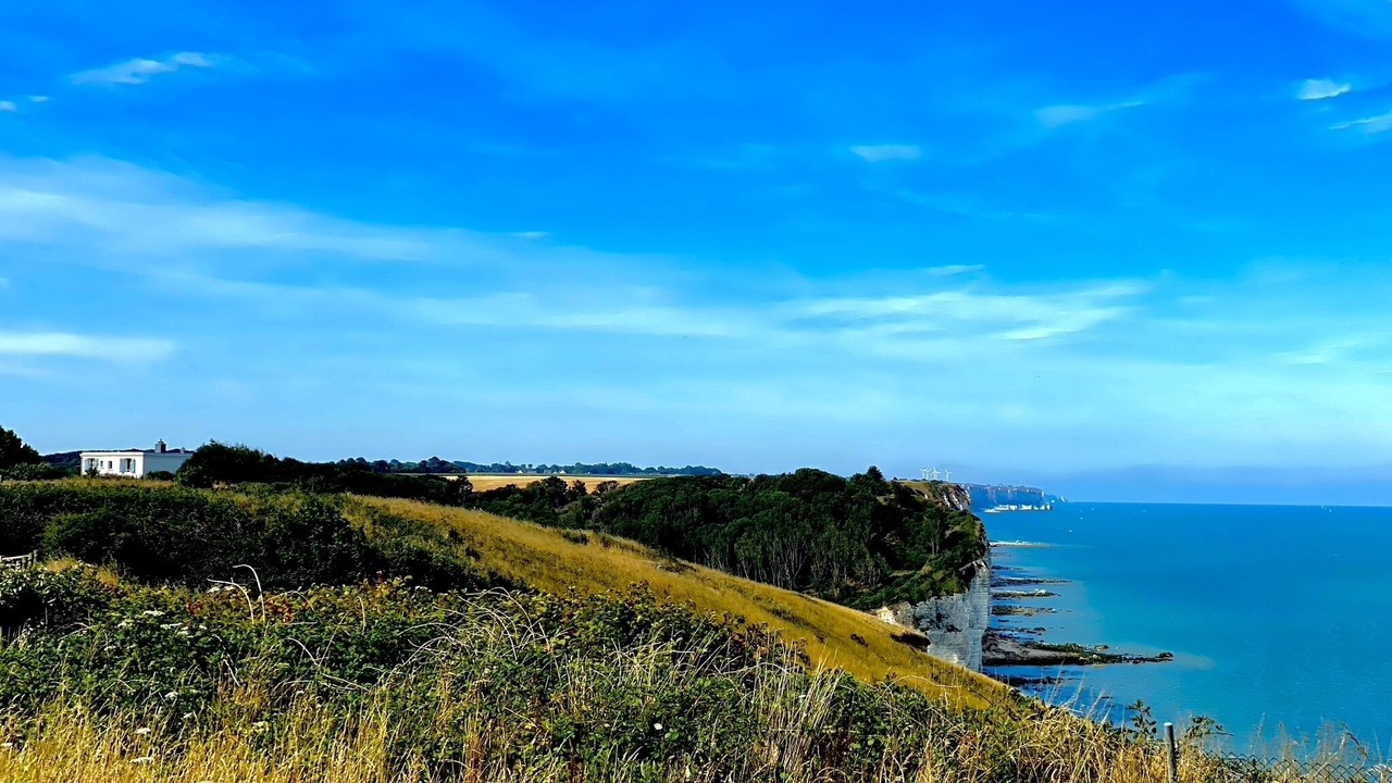 Photo of Outdoor in Saint-Martin-aux-Buneaux