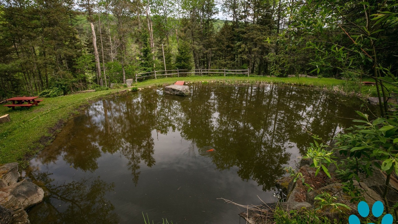 Photo of Outdoor in Prattsburgh
