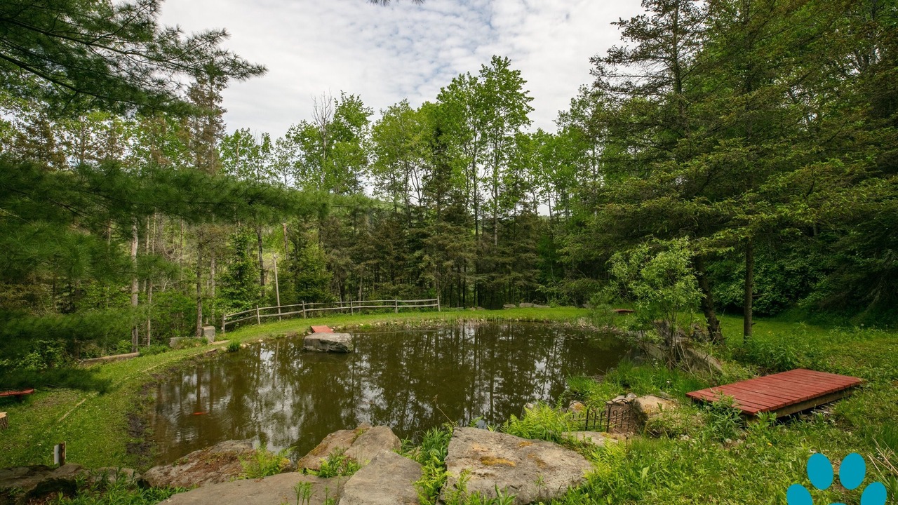 Photo of Outdoor in Prattsburgh