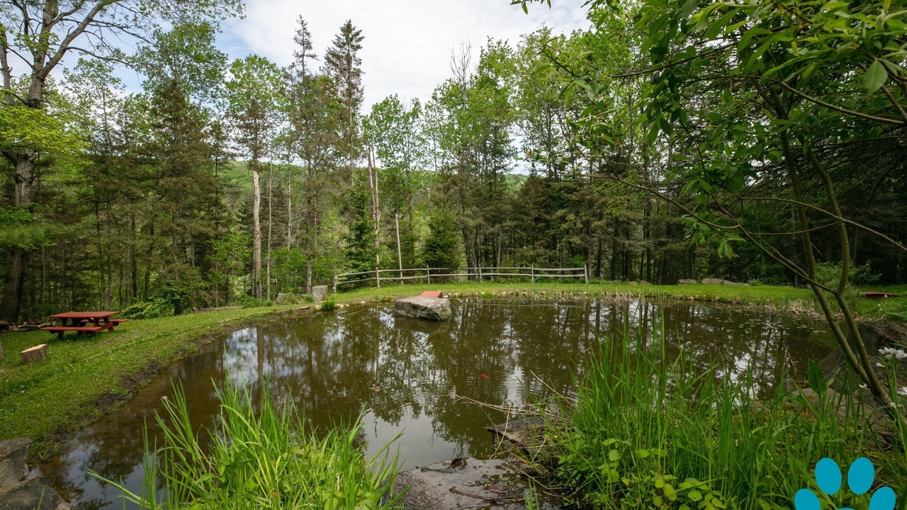 Photo of Outdoor in Prattsburgh