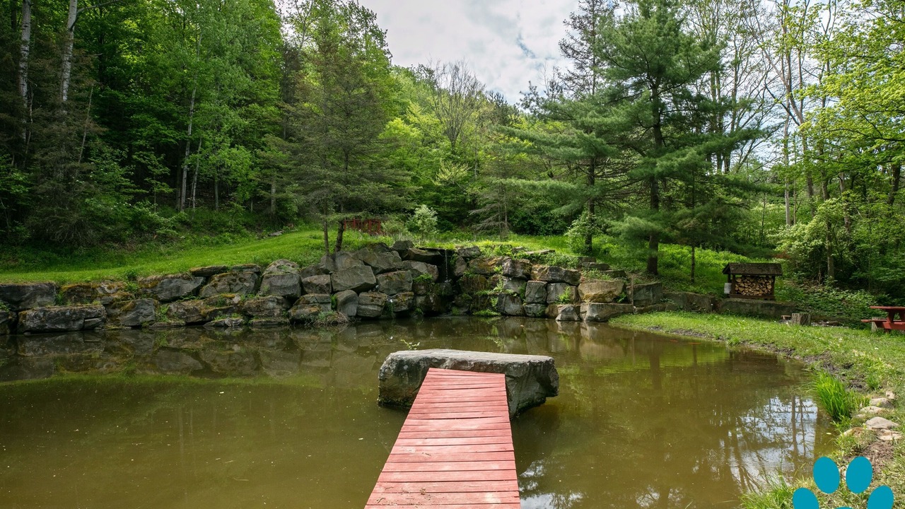 Photo of Outdoor in Prattsburgh