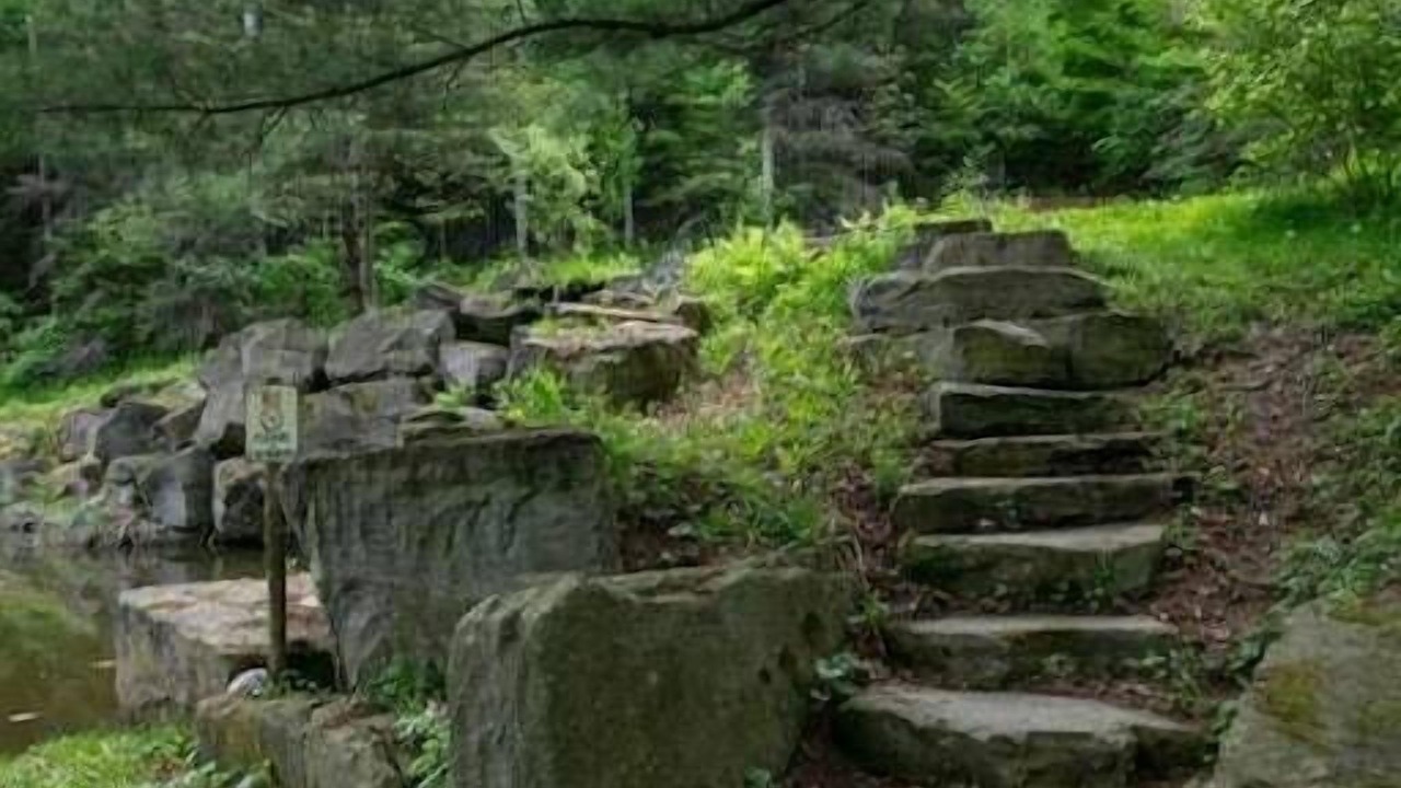 Photo of Outdoor in Prattsburgh